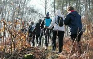 Marche Nordique Sport Santé